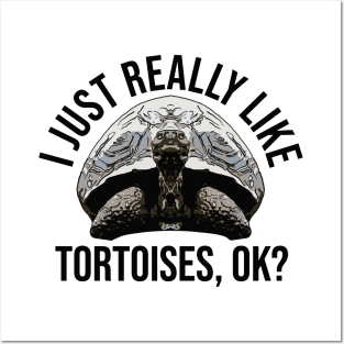 I Just Really Like Tortoises Posters and Art